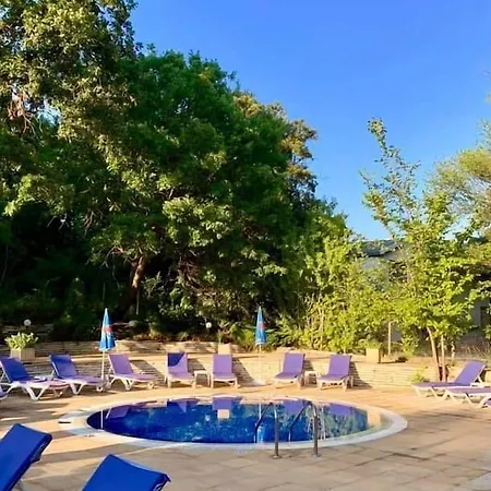 Boutique Orchidea فندق